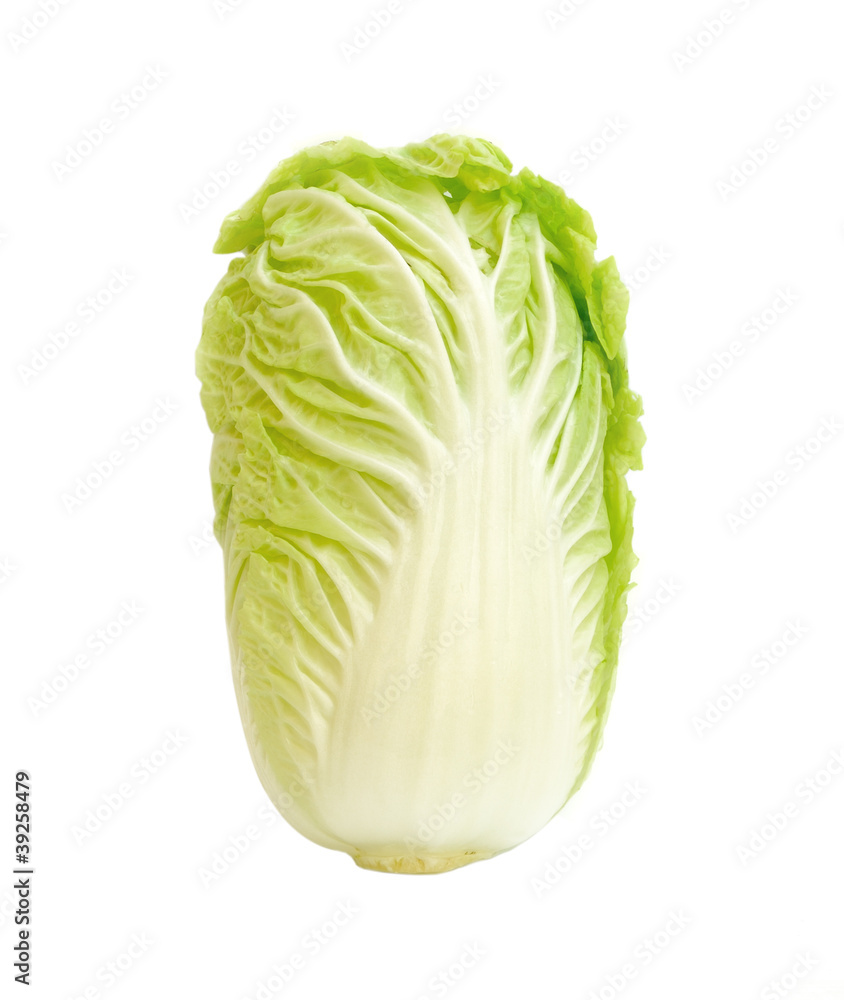 Fototapeta premium green cabbage on white background
