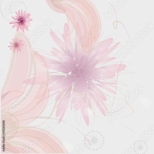 abstract floral background with pink chrysanthemums © najtli