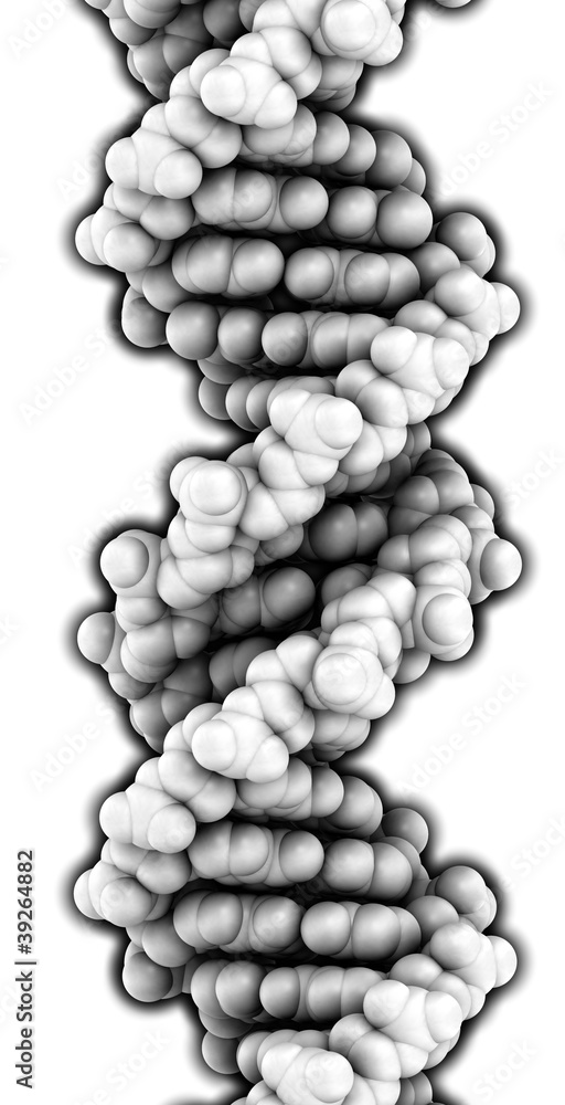 DNA structure DNA structure