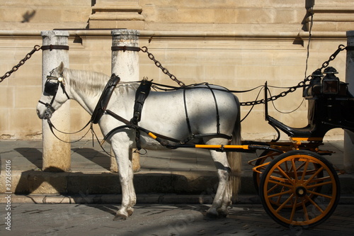 horse drawn carriage in Seville photo