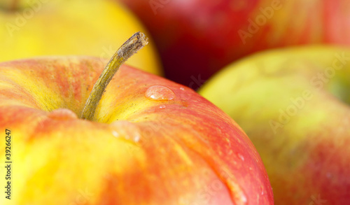 Apples