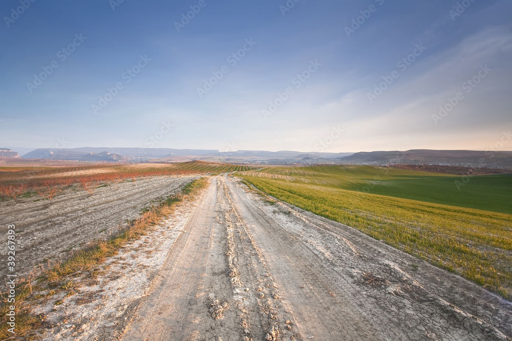 Field dirt road