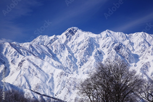 Mt. Goryudake, snow covered mountain in nagano japan photo