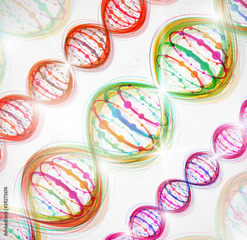 DNA molecule