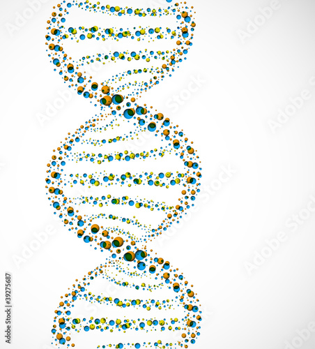 DNA molecule