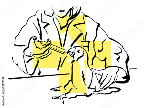 veterinario