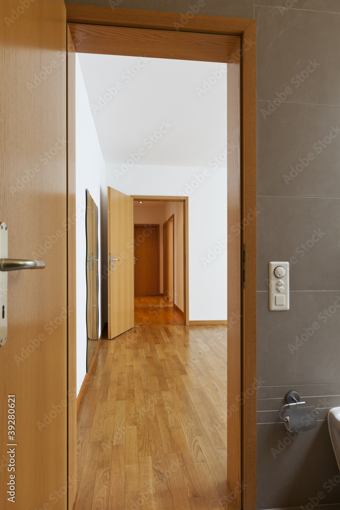 beautiful interior of new house, open door beautiful interior of new house, open door
