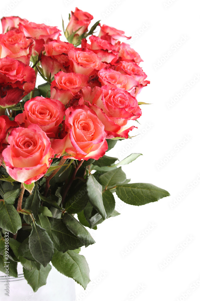 Bouquet of roses Bouquet of roses
