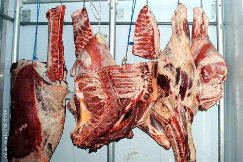 cow, veal and pork sides in a refrigerating room photo