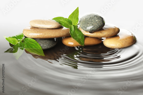 Canvas Print Stones in water