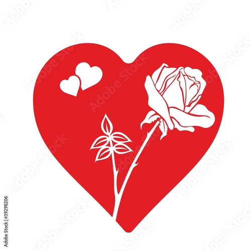 Rose 27b
