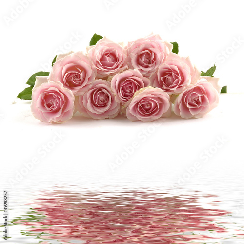 Bouquet of roses reflection