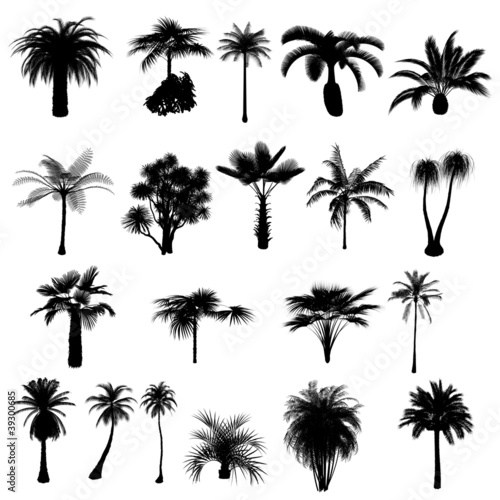 collection of silhouettes of palm trees