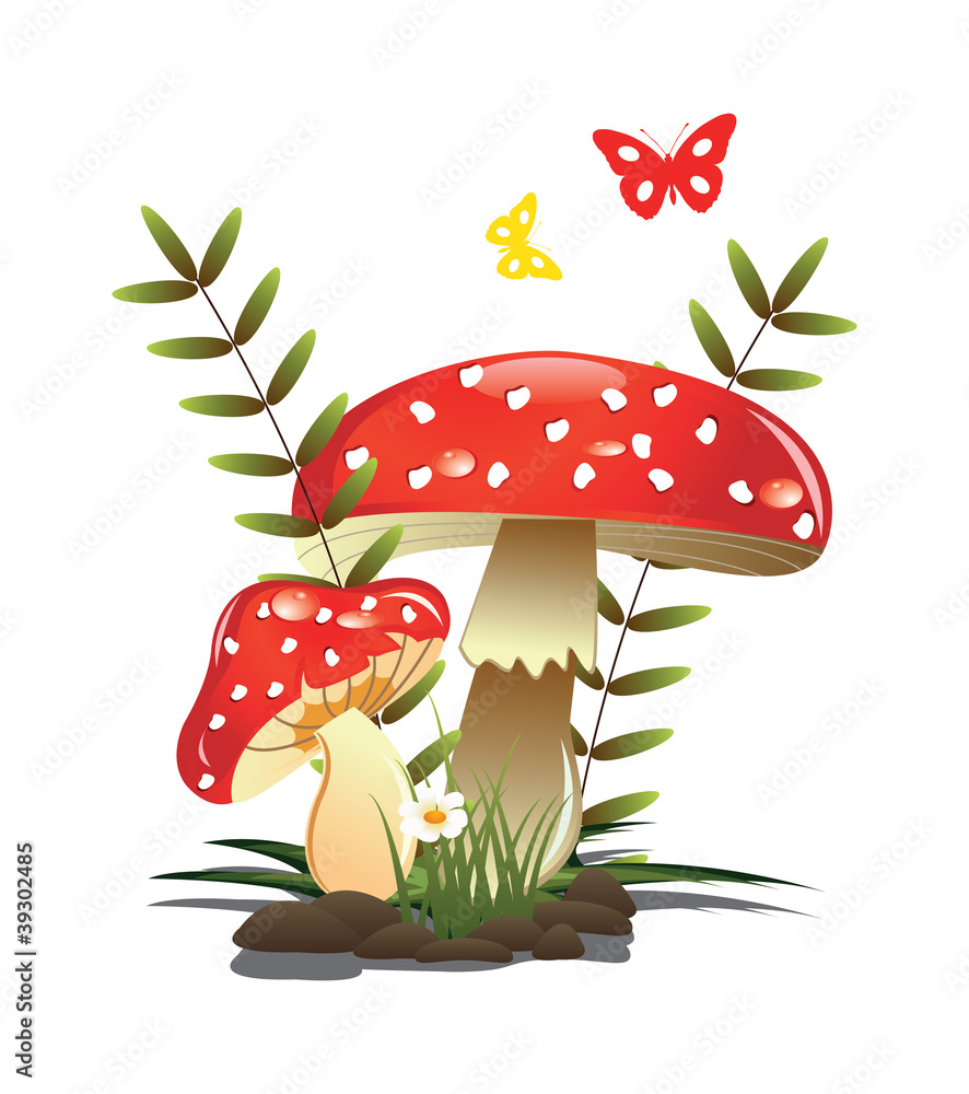 red mushroom - obrazy, fototapety, plakaty 