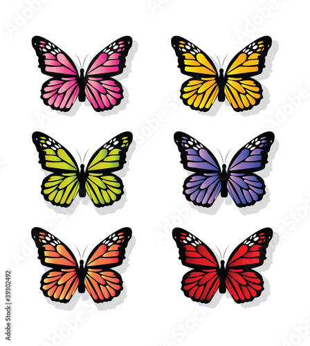 collection of butterfly