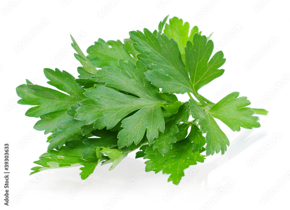 Fresh parsley Fresh parsley