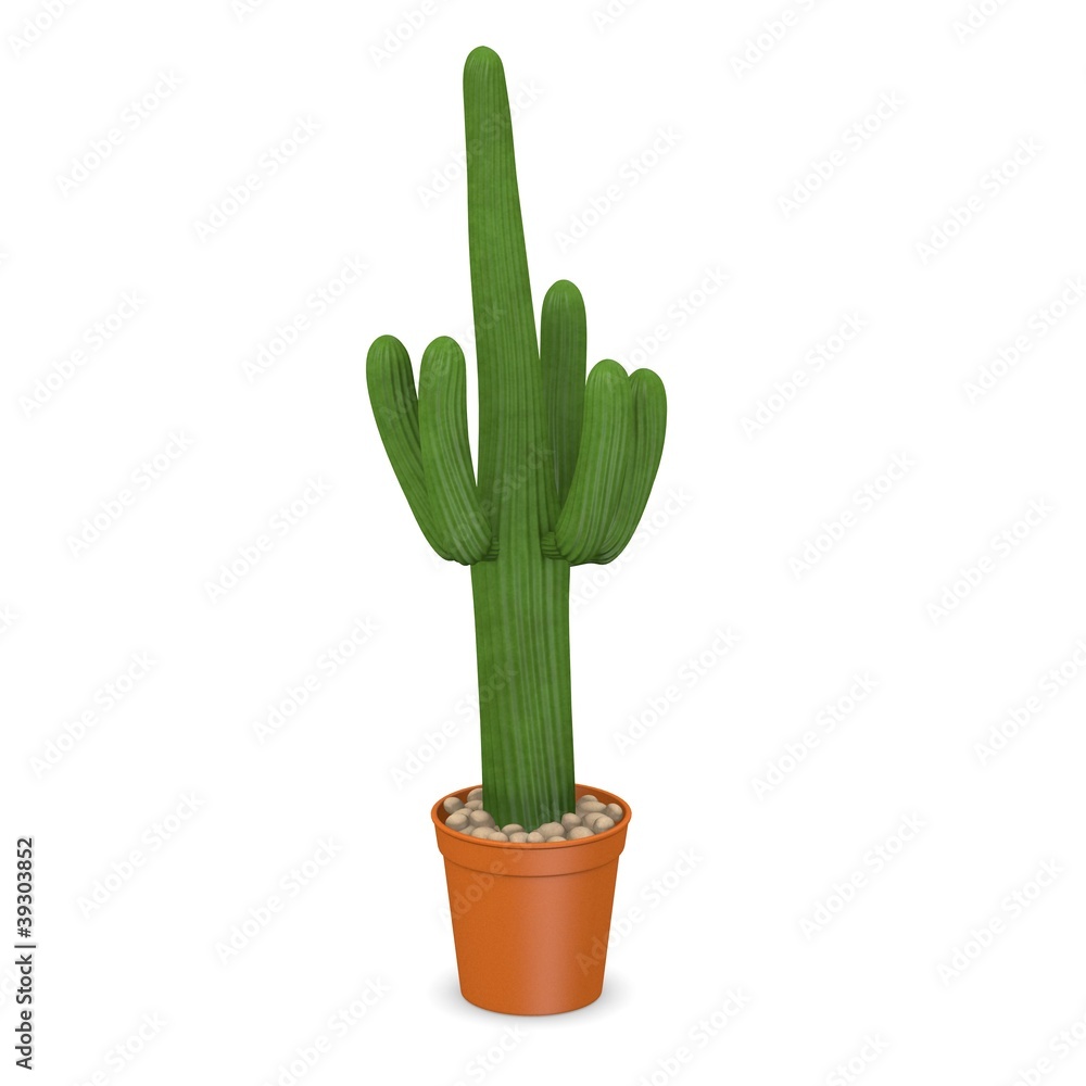 3d render of cactus flower 3d render of cactus flower