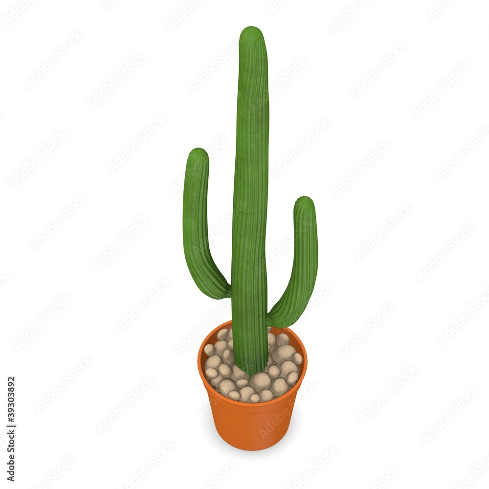 3d render of cactus flower 3d render of cactus flower