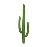3d render of cactus flower
