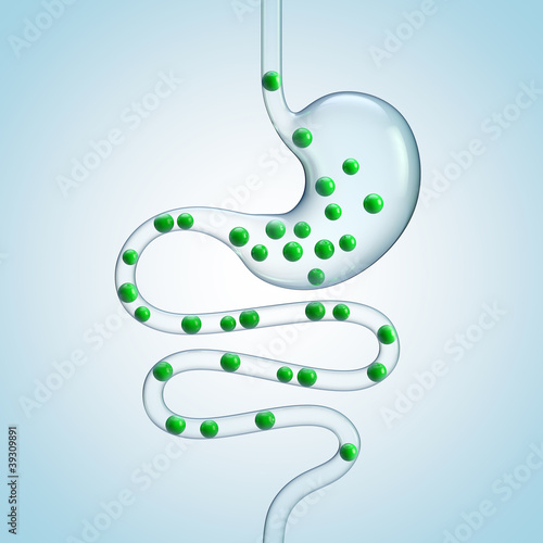 Verdauung in Magen-Darm-Trakt