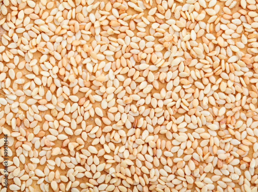 sesame sesame
