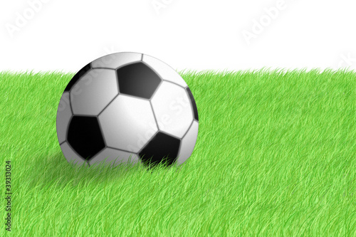 Football ball on green grass