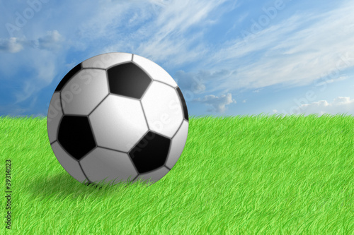 Football ball on green grass.