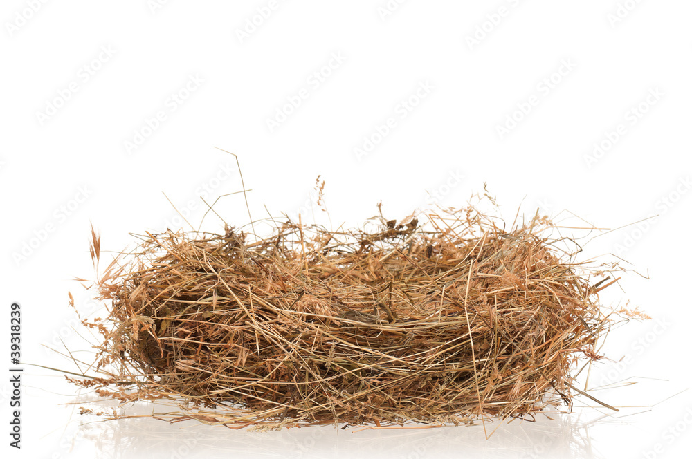 Nest of hay