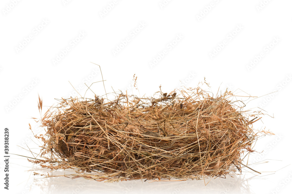 Obraz premium Nest of hay