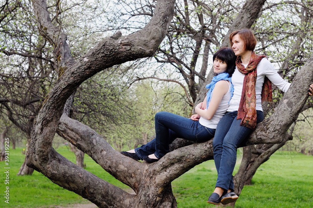 Attractive woman and her grown-up daughter sitting on a tree Attractive woman and her grown-up daughter sitting on a tree