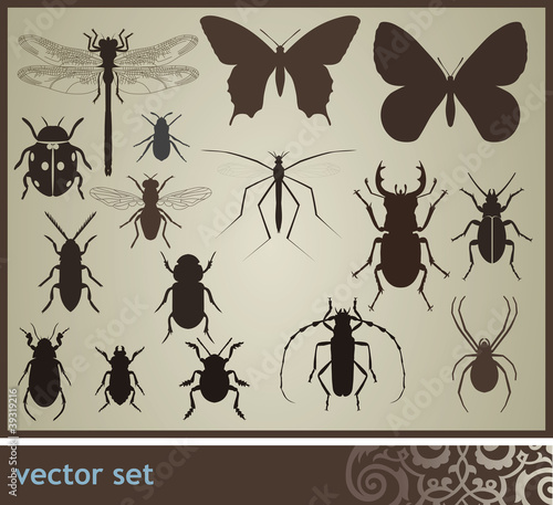 Insect set