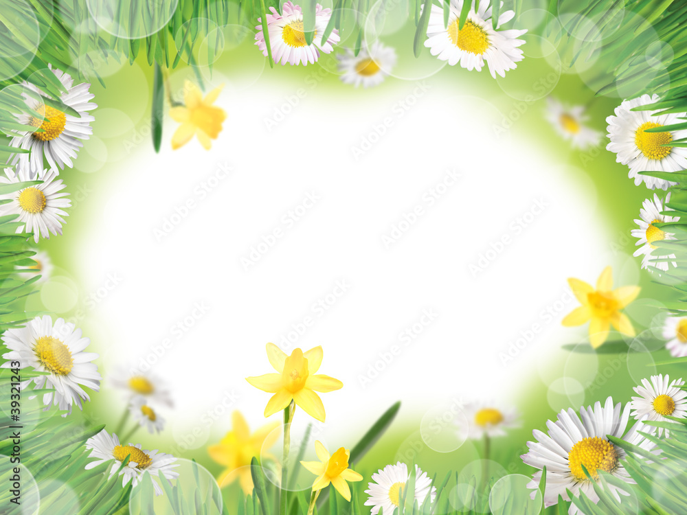 Background with meadow, daisies and daffodils Background with meadow, daisies and daffodils