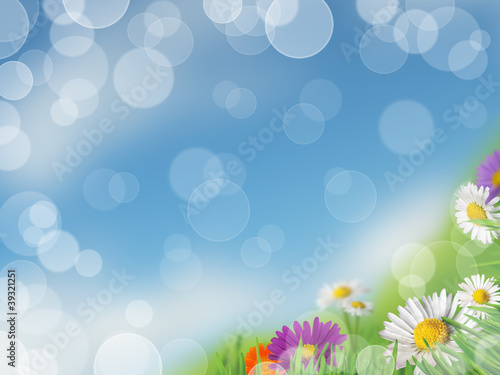 Background with meadow and daisies