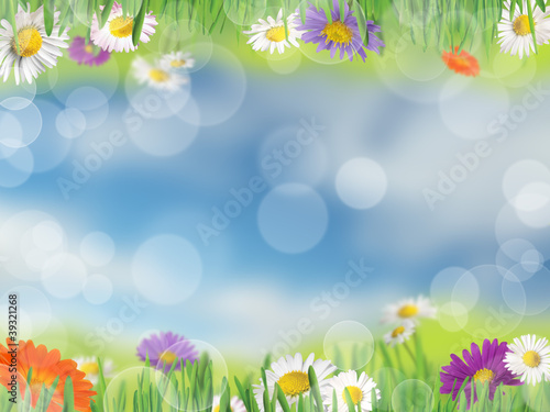 Background with meadow and daisies