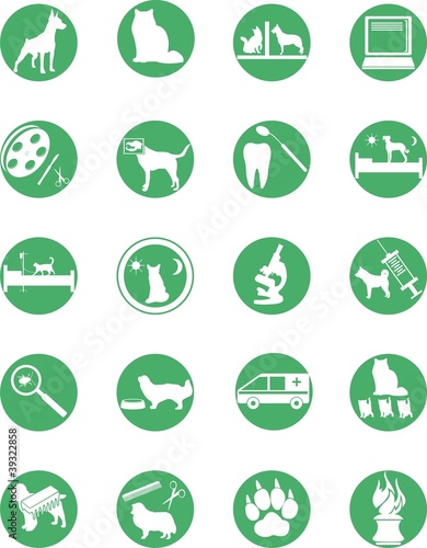 veterinary services