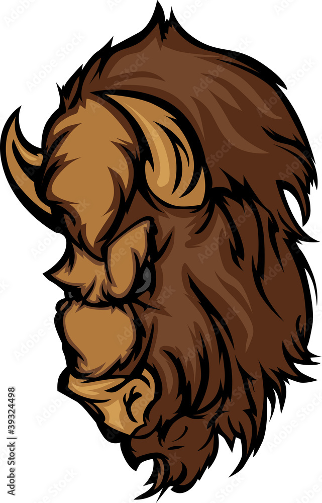 Buffalo Bison Mascot Head Cartoon Buffalo Bison Mascot Head Cartoon