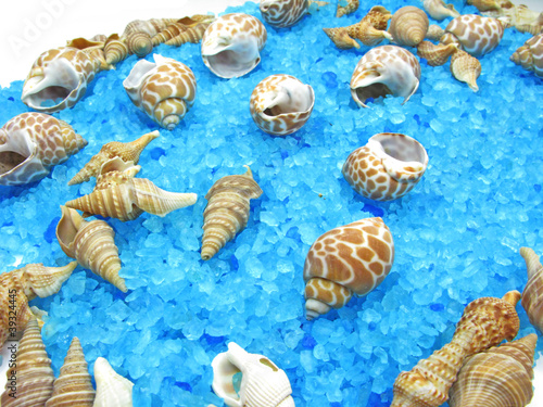 spa sea shells and salt