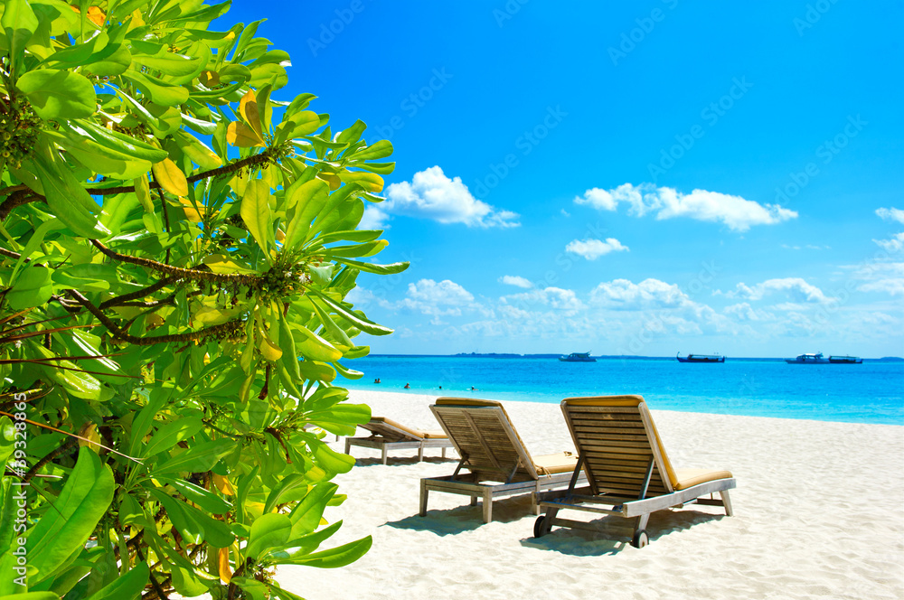 blue sky and green plants on tropical beach