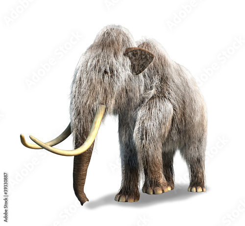 Photorealistic 3 D rendering of a Mammoth.