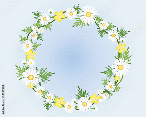 camomile wreath