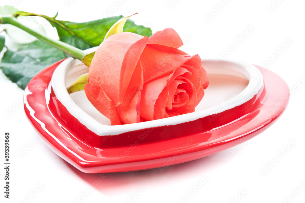 heart and red rose heart and red rose