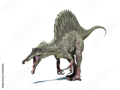 Spinosaurus dinosaur. Isolated on white  clipping path included.