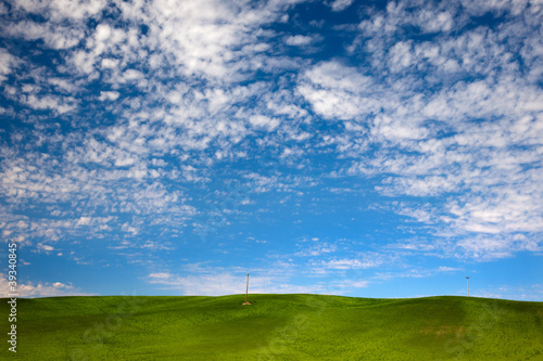 Green Wheat Grass Blue Skies Palouse Washington State