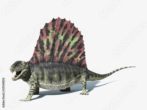 Dimetrodon dinosaur. On white background with dropped shadow and photo