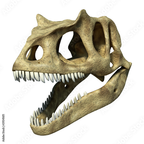 Photorealistic 3 D rendering of an Allosaurus skull. © matis75