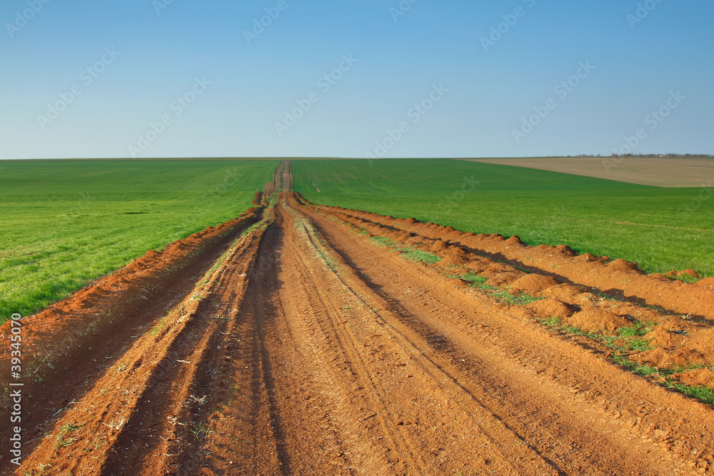 The road through the green field