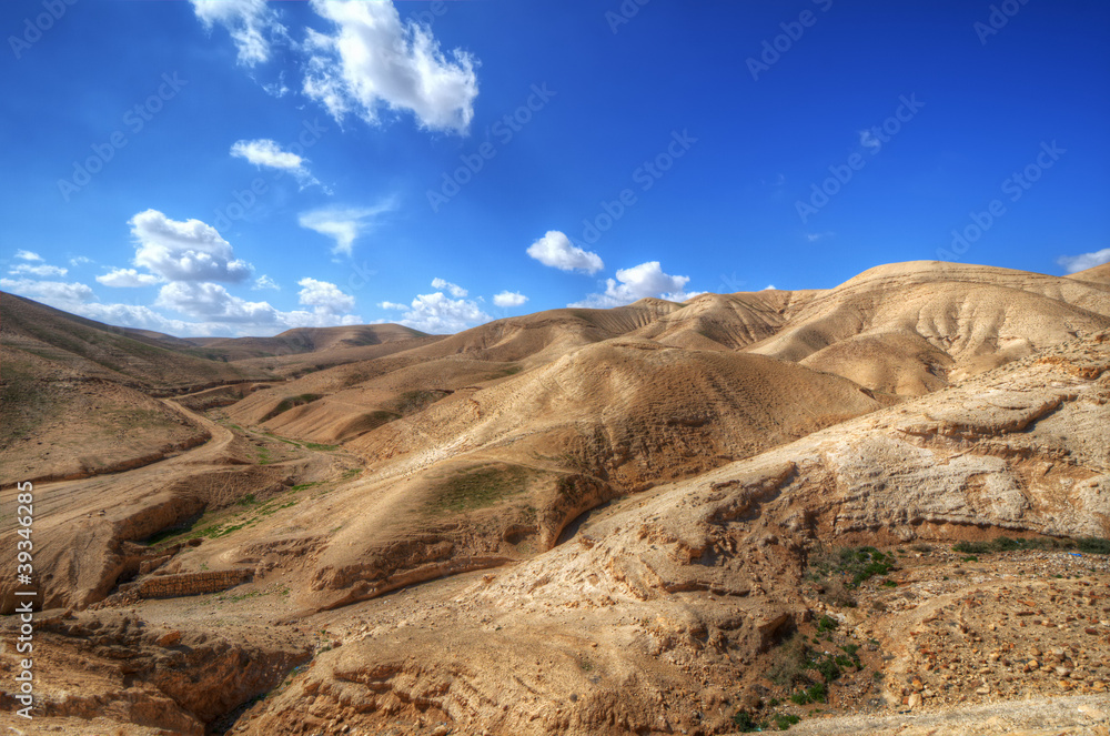 Desert Landscape in Israel