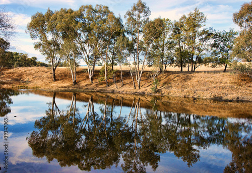 river gum trees reflecting in river © clearviewstock