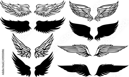 Wings Graphic Vector Set.