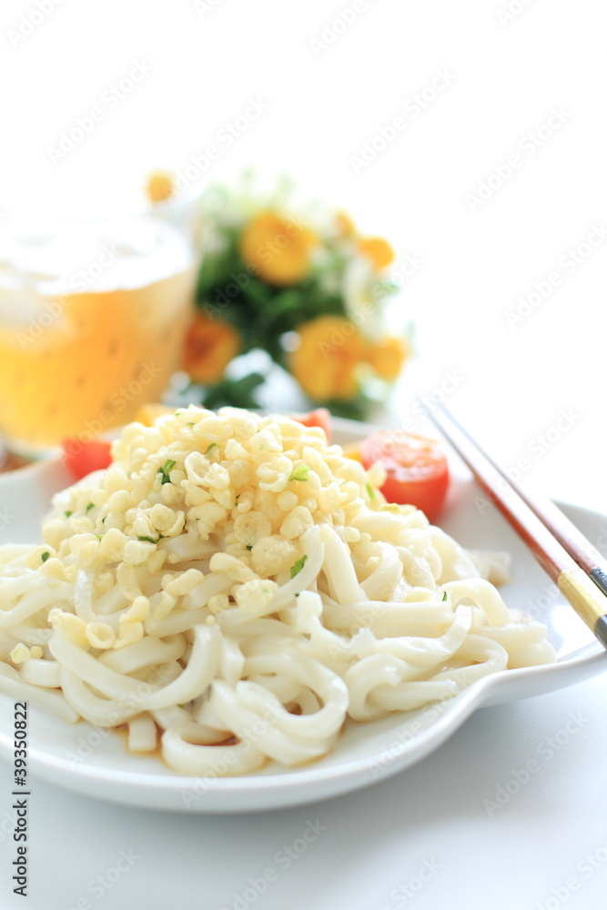 Japanese cuisine, cold Udon noodles Japanese cuisine, cold Udon noodles